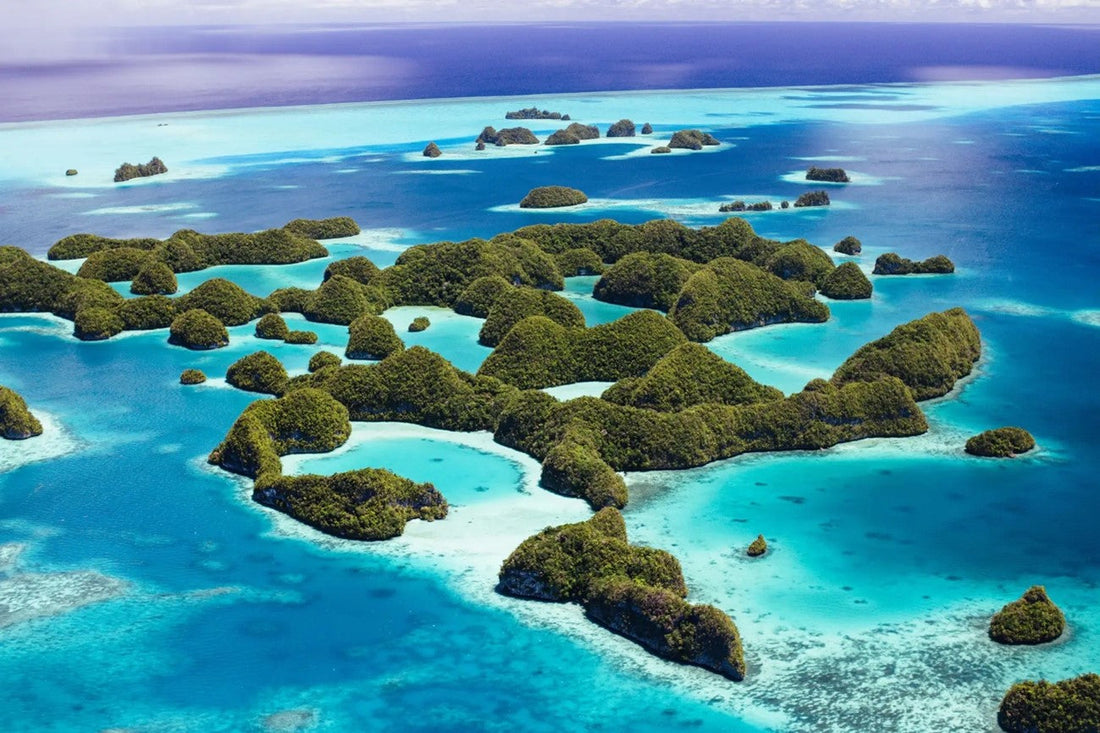 ゴールデンウィークにパラオへの直行チャーター便が運航