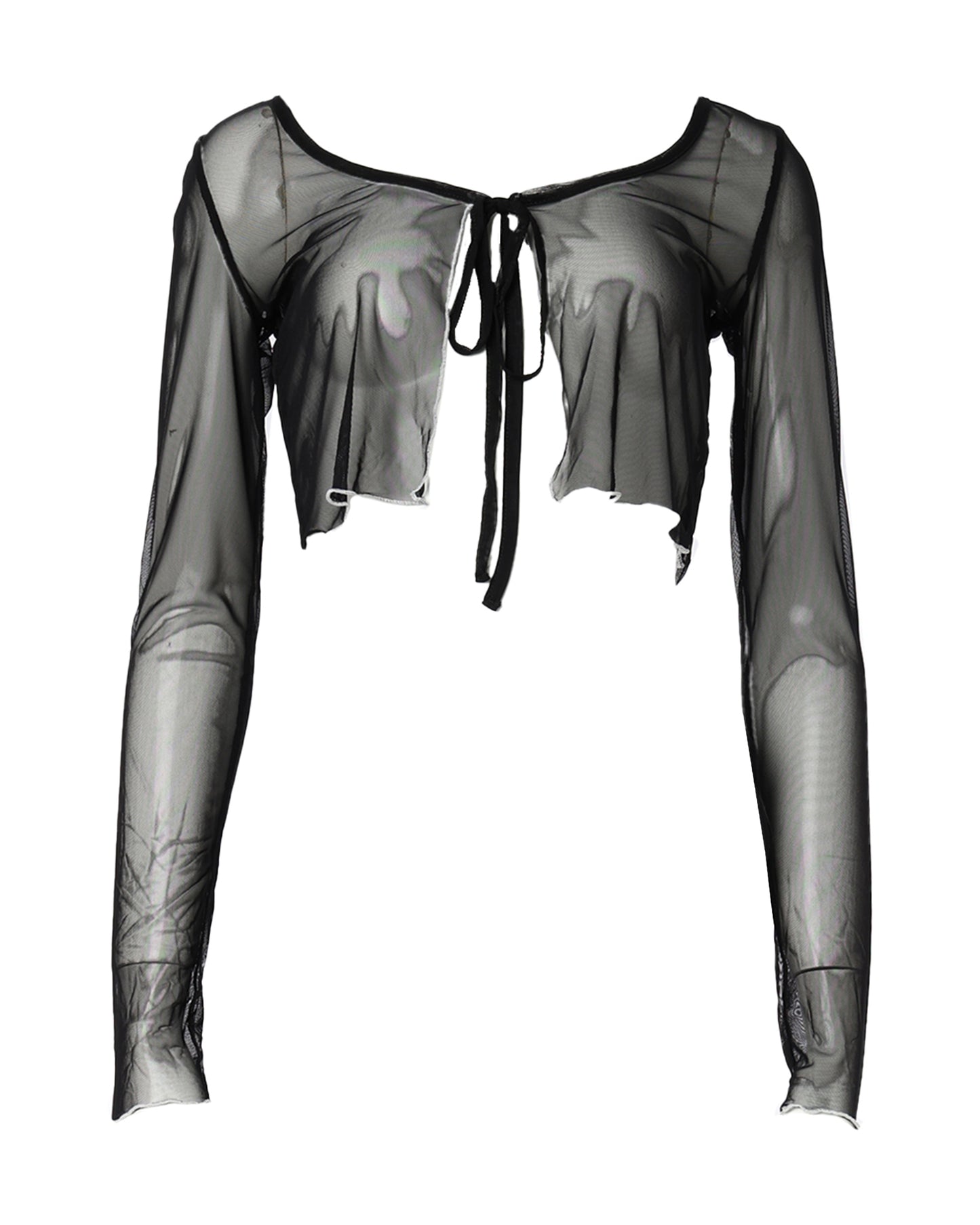 Sheer Cropd Top