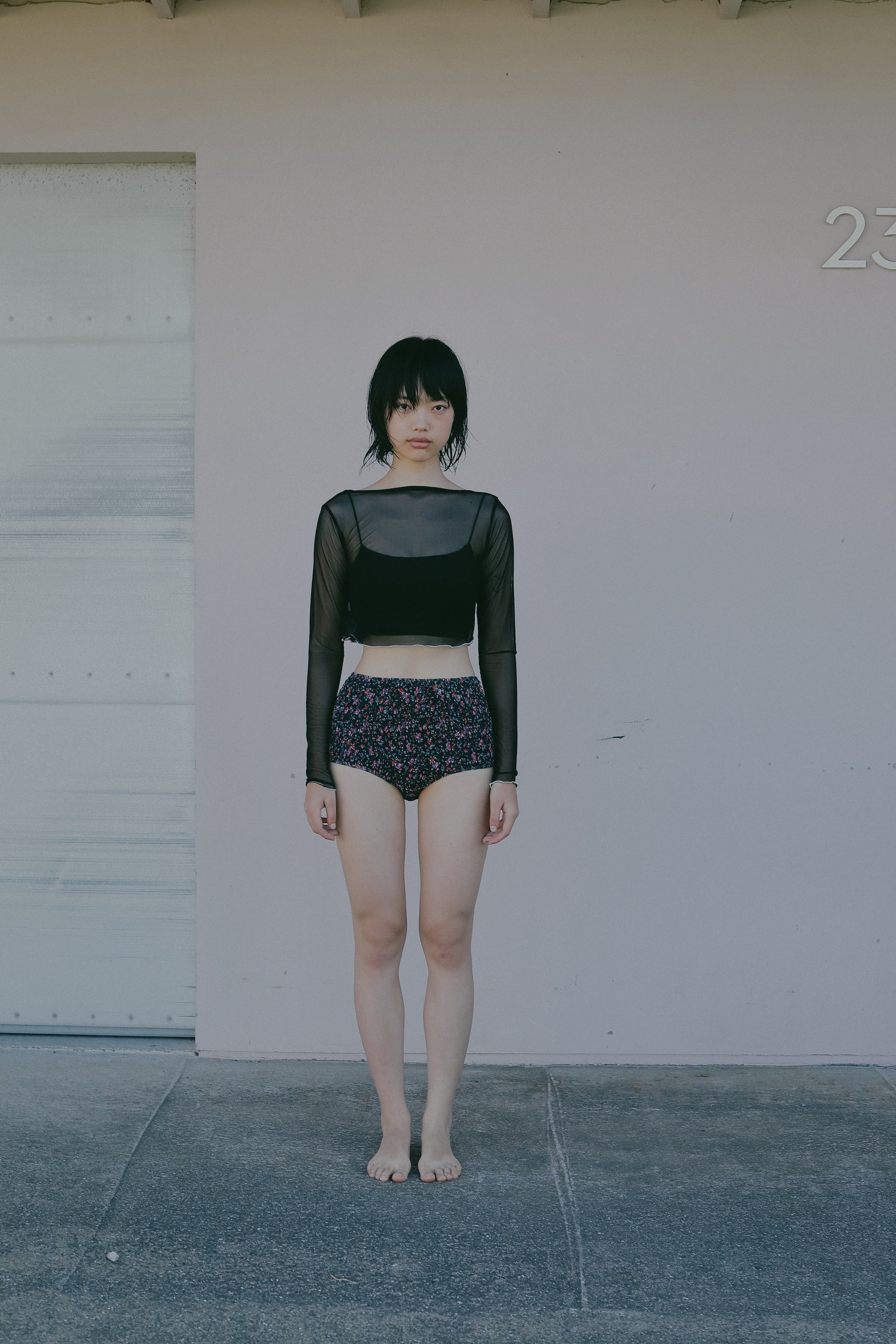 Sheer Cropd Top | MIZUASOBI